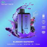 HAYATI-Pro-Ultra-15000-Puffs-Disposable-Vape-in-Dubai-Blue-Razz-Raspberry.png