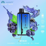 HAYATI-Pro-Ultra-15000-Puffs-Disposable-Vape-in-Dubai-Mr.-Blue.png