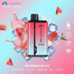 HAYATI-Pro-Ultra-15000-Puffs-Disposable-Vape-in-Dubai-Watermelon-Ice.png