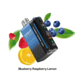 OXBAR-Magic-Maze-2-Disposable-Vape-30000-Puffs-Blueberry-Raspberry-Lemon.png