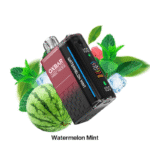 OXBAR-Magic-Maze-2-Disposable-Vape-30000-Puffs-Watermelon-Mint.png
