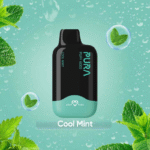 Pura-6000-Puffs-Disposable-Vape-2-Nicotine-in-Dubai-UAE-Cool-Mint.png