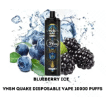 Vnsn-Quake-10000-Puffs-Blueberry-ice.png