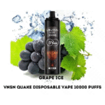 Vnsn-Quake-10000-Puffs-Grape-ice.png