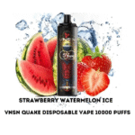 Vnsn-Quake-10000-Puffs-Strawberry-Watermelon-ice.png