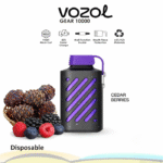 long‑lasting vozol gear vape pen 10000 vape puffs