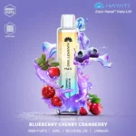 Hayati-Pro-Max-4000-Puffs-Disposable-Vape-in-Dubai