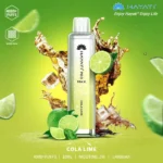 HAYATI Pro Max 4000 plus Puffs 20mg Disposable Vape in Dubai, UAE - Image 8