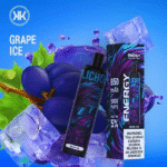 Grape-Ice-Energy-5000-Puffs-Disposable-Vape-50mg-in-Dubai-UAE.png