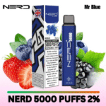 Nerd-Square-5000-Puffs-Disposable-Vape-20mg-in-Dubai-UAE-Mr.-Blue.png
