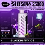 Vozol Gear Shisha 25000 Puffs Disposable Vape In UAE - Image 15