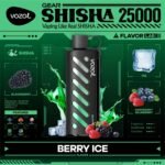 Vozol Gear Shisha 25000 Puffs