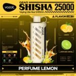 Vozol Gear Shisha 25000 Puffs