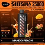 Vozol Gear Shisha 25000 Puffs